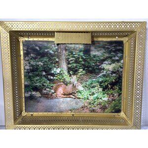 Vtg 3D Lenticular Deer Forest‎ Victor Anderson Midday Respite Framed Wall Art